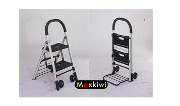 Xe đẩy kết hợp thang xếp