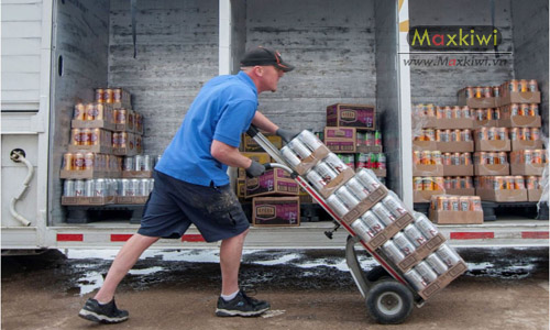 Xe đẩy hàng bánh lớn HS-1001