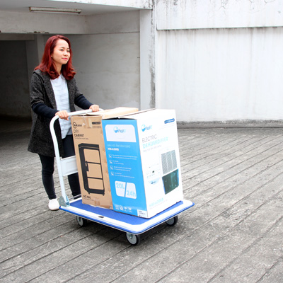 Xe đẩy hàng bằng thép