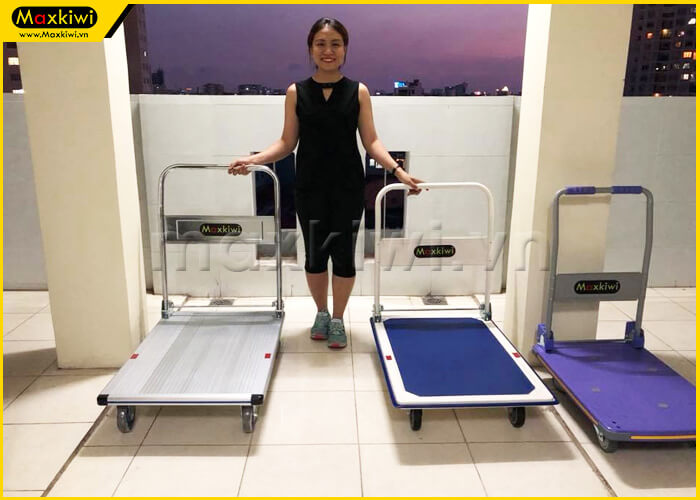 Xe đẩy hàng nhôm và xe đẩy ahfng thép đang được rất ưa chuộng