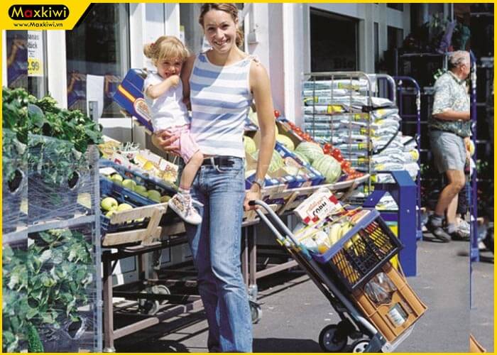 Xe đẩy hàng nhỏ gọn được các bà nội trợ yêu thích